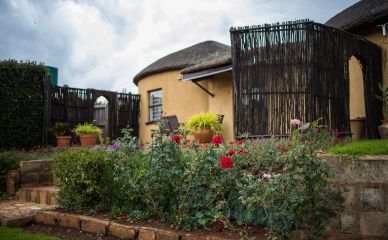 ha'me website home